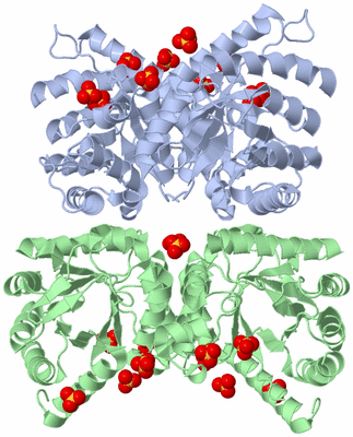 Image Biological Unit 3