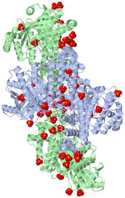 Image Biological Unit 3