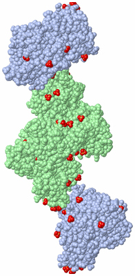 Image Biological Unit 4