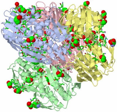 Image Asym./Biol. Unit - sites