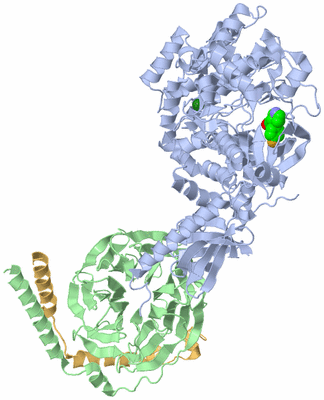 Image Asym./Biol. Unit