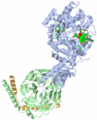 Image Asym./Biol. Unit - sites