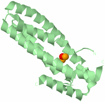 Image Biological Unit 2