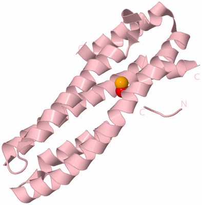 Image Biological Unit 3