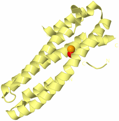 Image Biological Unit 4