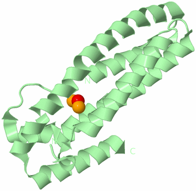 Image Biological Unit 2