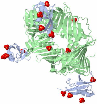 Image Biological Unit 1