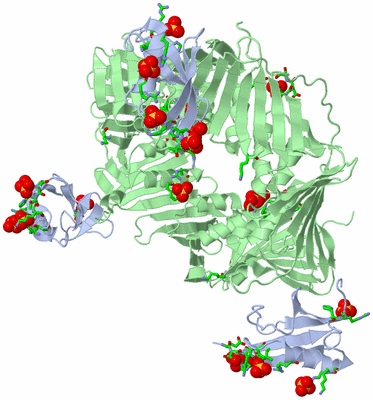 Image Biol. Unit 1 - sites