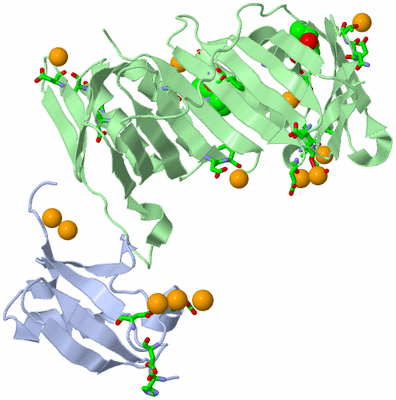 Image Asym./Biol. Unit - sites