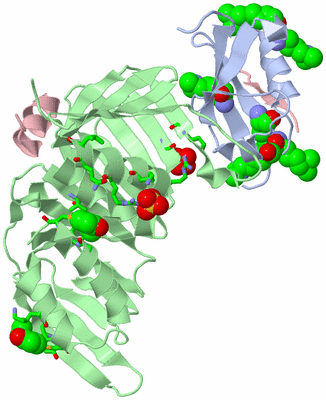 Image Biol. Unit 1 - sites