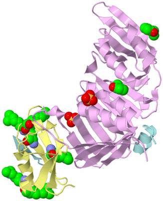 Image Biological Unit 2