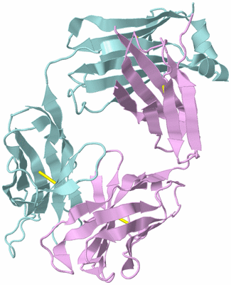 Image Biological Unit 3