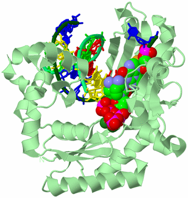 Image Biological Unit 1