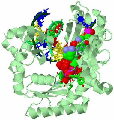 Image Biol. Unit 1 - sites