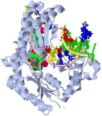 Image Biological Unit 2