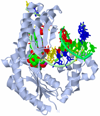 Image Biological Unit 1