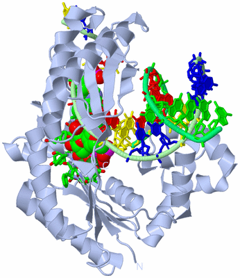 Image Biol. Unit 1 - sites