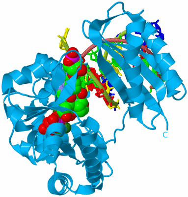 Image Biological Unit 2