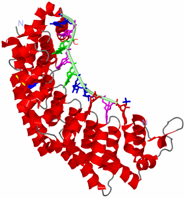 Image Asym./Biol. Unit