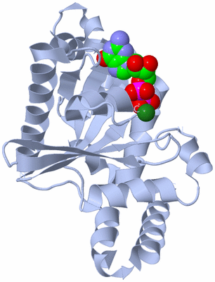 Image Biological Unit 1