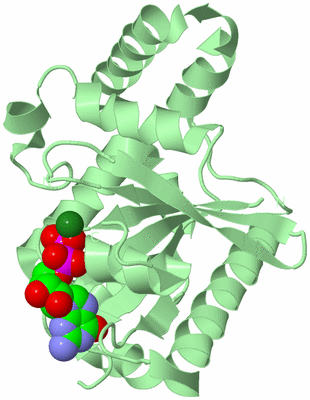 Image Biological Unit 2