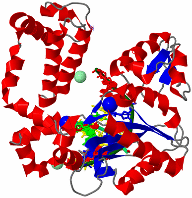 Image Asym./Biol. Unit