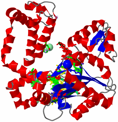 Image Asym./Biol. Unit - sites