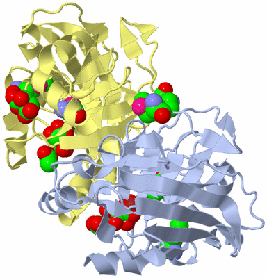 Image Biological Unit 1