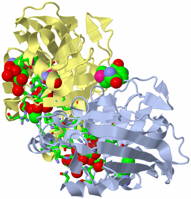 Image Biol. Unit 1 - sites