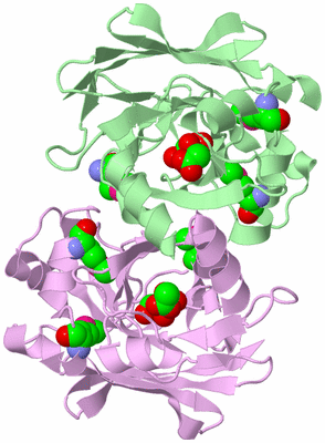 Image Biological Unit 2