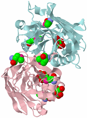 Image Biological Unit 3