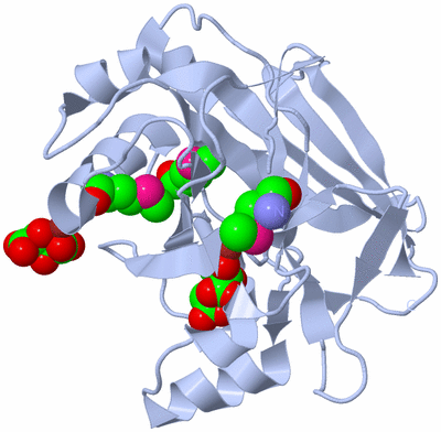 Image Biological Unit 4