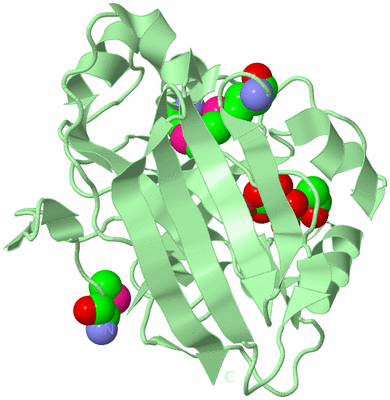 Image Biological Unit 5