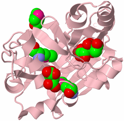 Image Biological Unit 6