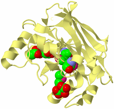 Image Biological Unit 7