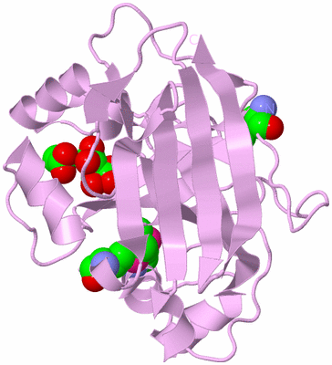 Image Biological Unit 8