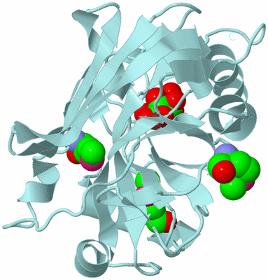 Image Biological Unit 9