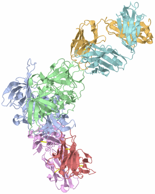 Image Asym./Biol. Unit