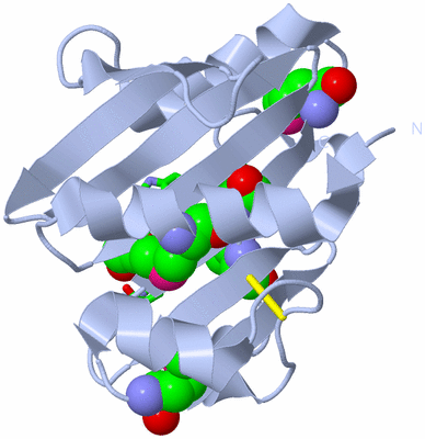 Image Biol. Unit 1 - sites