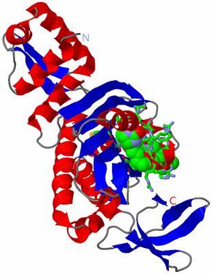 Image Asym. Unit - sites