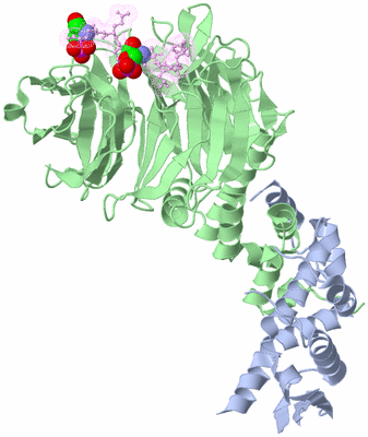 Image Biological Unit 1