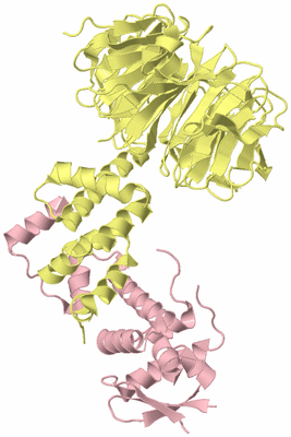 Image Biological Unit 2