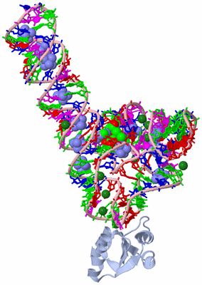 Image Biological Unit 1