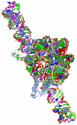 Image Asym. Unit - sites