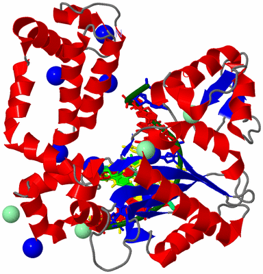 Image Asym./Biol. Unit