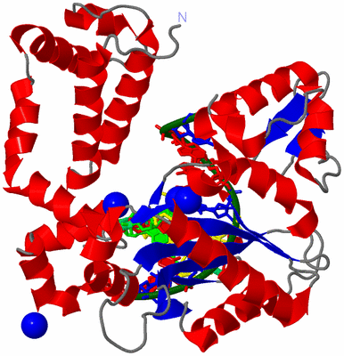 Image Asym./Biol. Unit