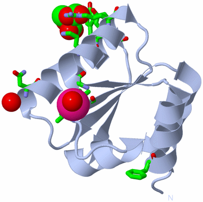 Image Biol. Unit 1 - sites