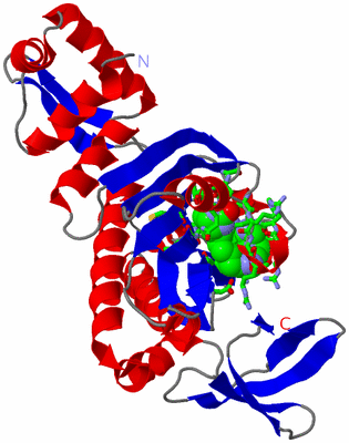 Image Asym. Unit - sites