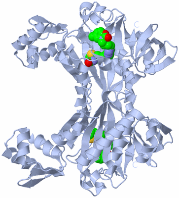 Image Biological Unit 1