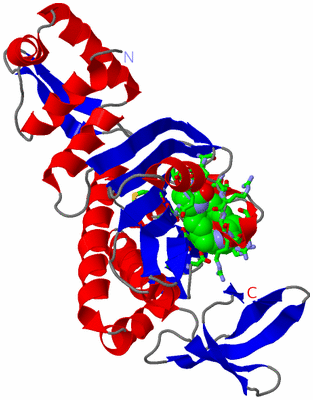 Image Asym. Unit - sites